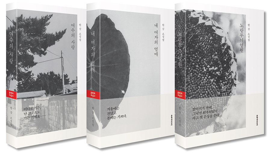 Han Kang novel collection