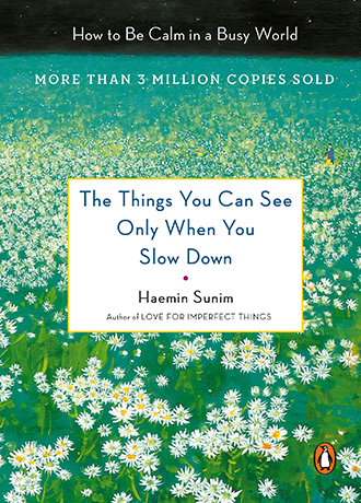 <US cover of <The Things You Can See Only When You Slow Down: How to Be Calm in a Busy World>
