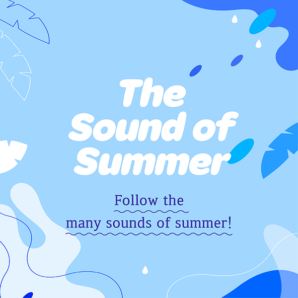 The Sound of Summer cardnews img2