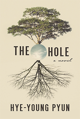 English covers of The Hole