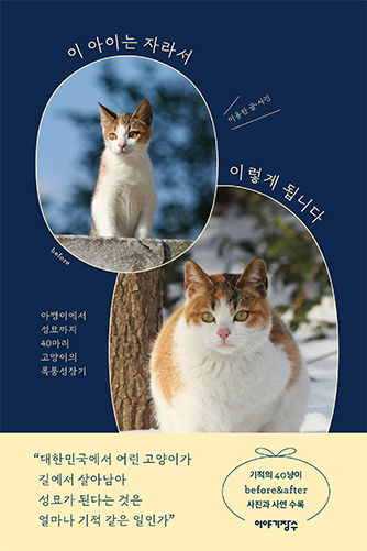 This Kittie Will Grow Up Like This