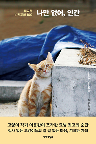 Everyone But Me Has a Cat