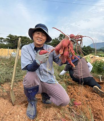 The community garden of Gochang Book Village