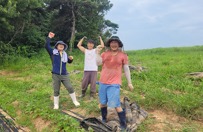 The community garden of Gochang Book Village