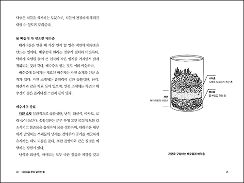 How to Make a Good Terrarium