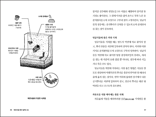 How to Make a Good Terrarium